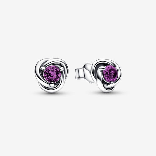 February Purple Eternity Circle Stud Earrings
