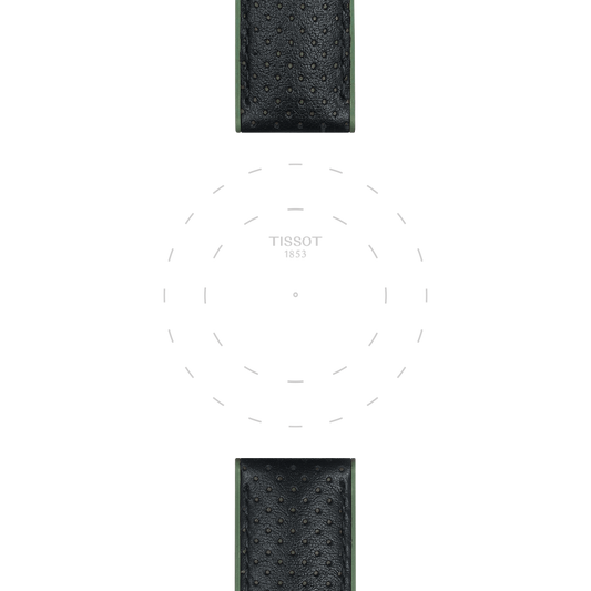 Tissot official green leather and rubber strap lugs 22 mm T852046787