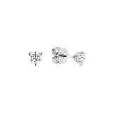 Lab Grown Diamond Studs