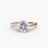 Completed Ring (Canada Size 3.50)