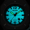 CASIO PRO TREK PRJ-01 Series PRJ-01AE-8
