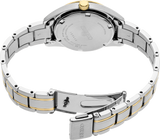 Seiko Women's SUR636