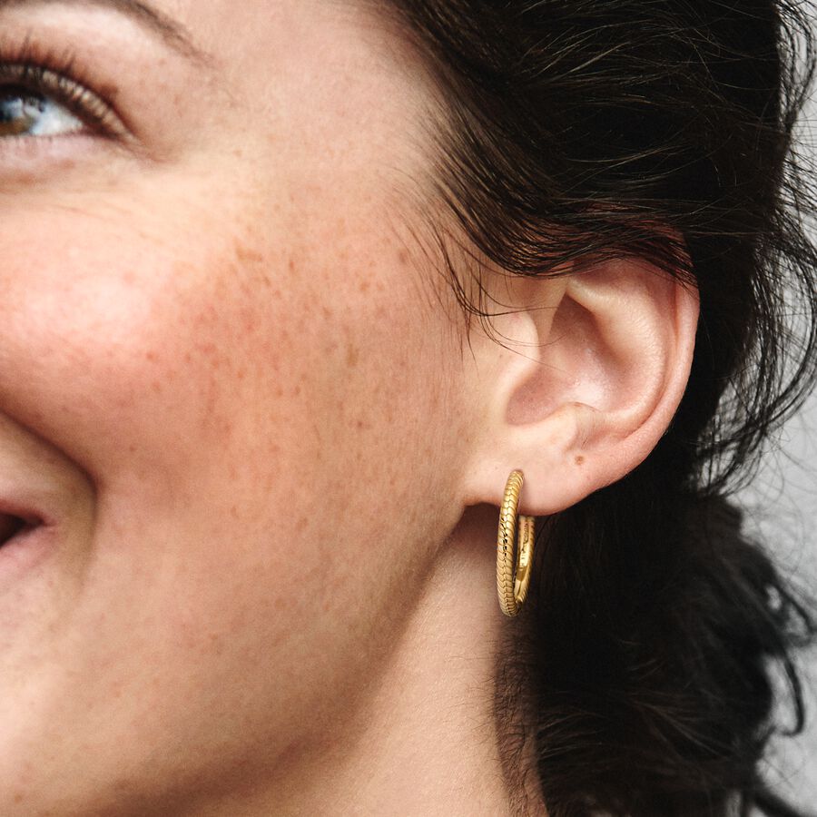 Pandora Moments Charm Hoop Earrings