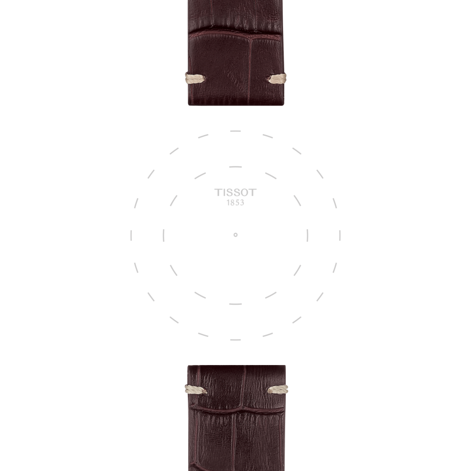 Tissot official brown leather strap lugs 22 mm T852046773